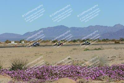 media/Jan-22-2023-CVMA (Sun) [[66d43cdebf]]/Race 11 Stock 1000 Shootout/